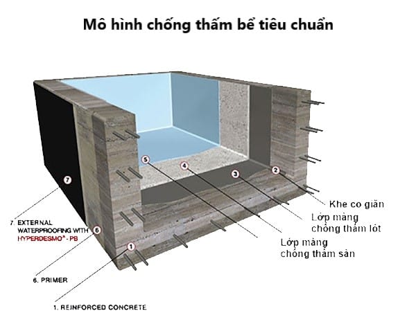 Mô hình chống thấm bể bơi tiêu chuẩn