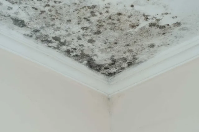 Hậu quả của việc giải quyết chống thấm chậm trễ Hậu quả của việc giải quyết chống thấm chậm trễ
